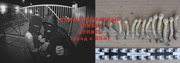 стафф Алексеевка