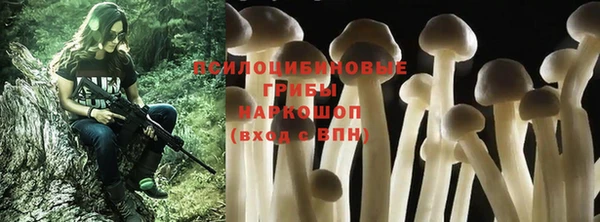 не бодяженный Алексин