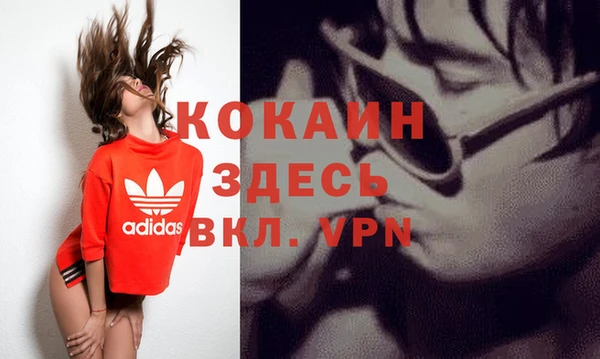 не бодяженный Алексин