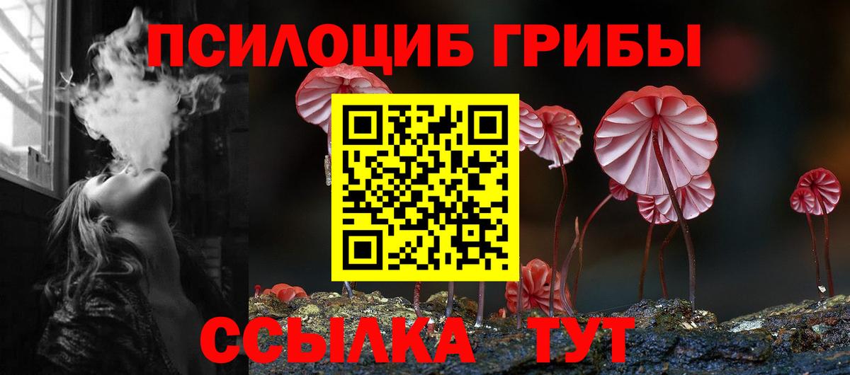 Галлюциногенные грибы Cubensis Копейск